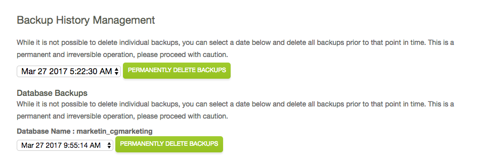 prune old backups duplicacy webui